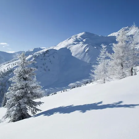 Stylish Flats In Near Lifts 公寓 乌登斯